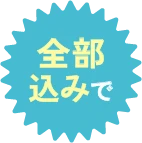 全部込みで